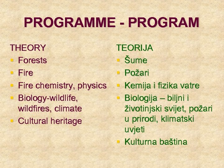 PROGRAMME - PROGRAM THEORY § Forests § Fire chemistry, physics § Biology-wildlife, wildfires, climate
