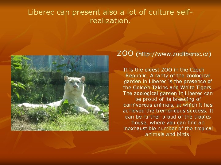 Liberec can present also a lot of culture selfrealization. ZOO (http: //www. zooliberec. cz)
