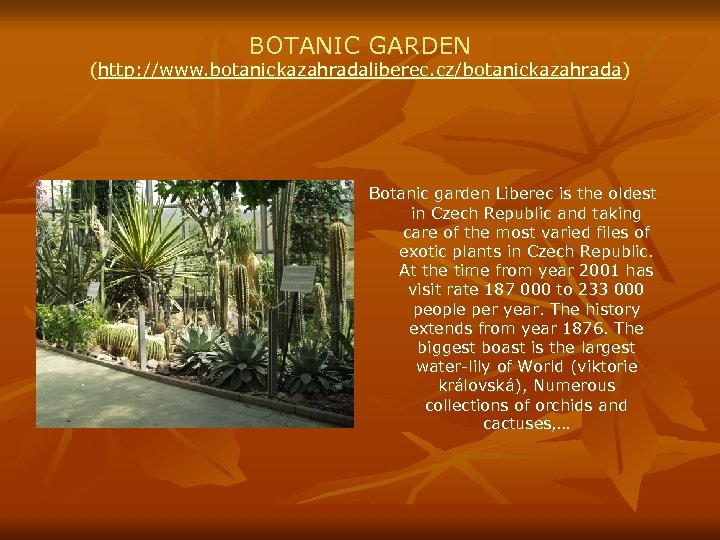 BOTANIC GARDEN (http: //www. botanickazahradaliberec. cz/botanickazahrada) Botanic garden Liberec is the oldest in Czech