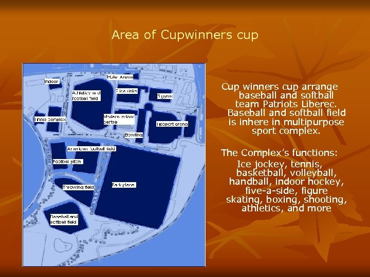 Area of Cupwinners cup Cup winners cup arrange baseball and softball team Patriots Liberec.