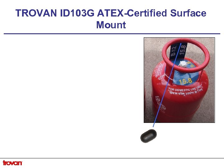 TROVAN ID 103 G ATEX-Certified Surface Mount 