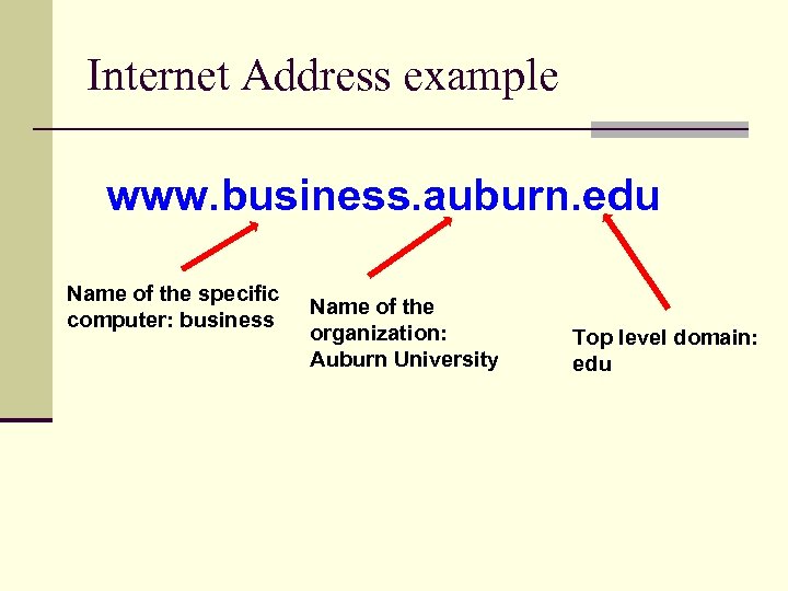 Internet Address example www. business. auburn. edu Name of the specific computer: business Name