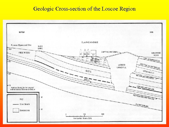 Geologic Cross-section of the Loscoe Region 