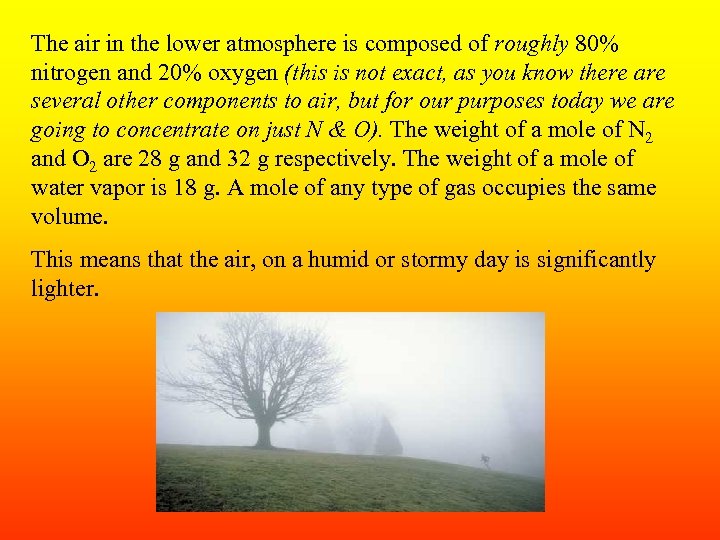 The air in the lower atmosphere is composed of roughly 80% nitrogen and 20%