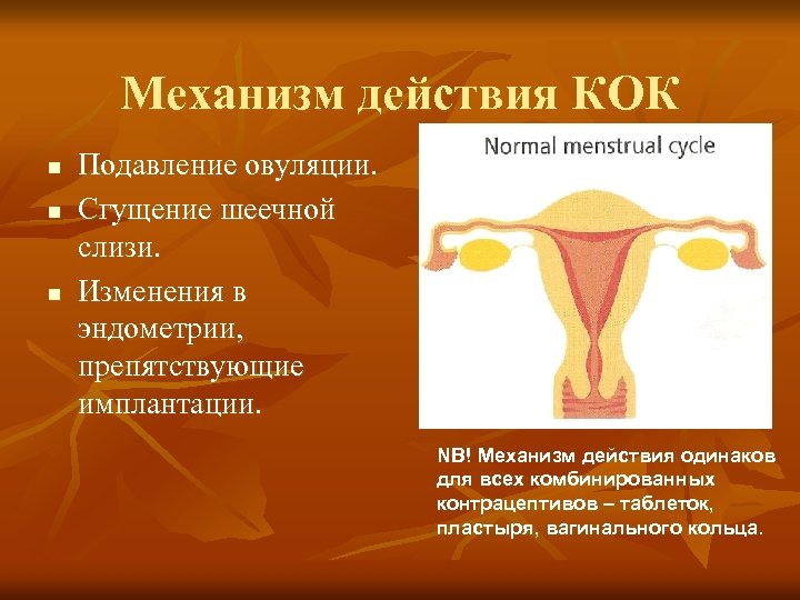 Механизм действия КОК n n n Подавление овуляции. Сгущение шеечной слизи. Изменения в эндометрии,