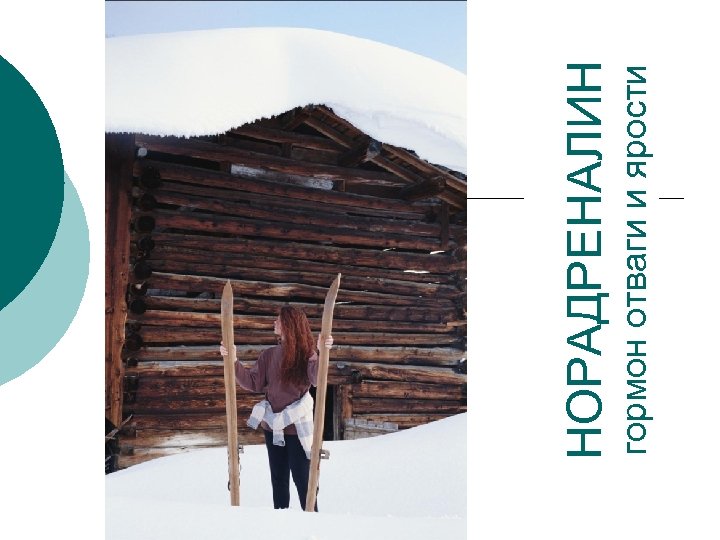 гормон отваги и ярости НОРАДРЕНАЛИН 