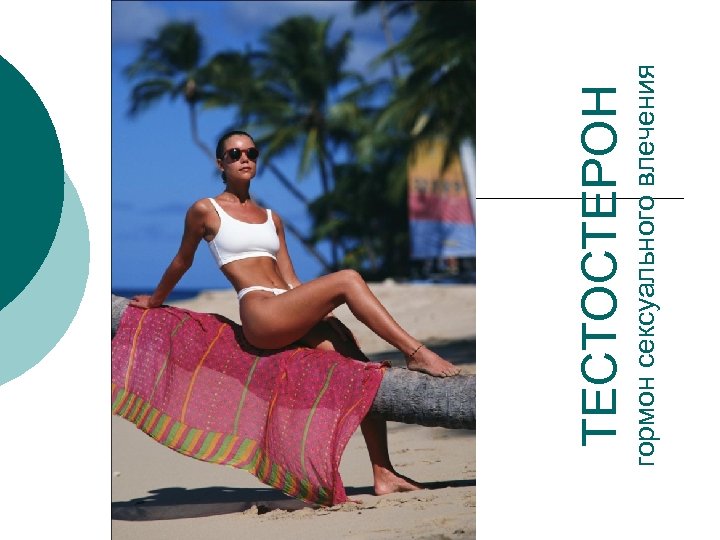 гормон сексуального влечения ТЕСТОСТЕРОН 