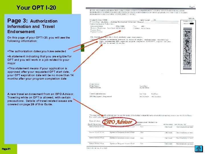 Your OPT I-20 Page 3: Authorization Information and Travel Endorsement On this page of