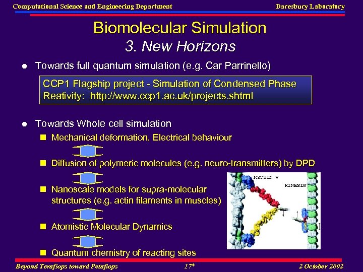Computational Science and Engineering Department Daresbury Laboratory Biomolecular Simulation 3. New Horizons l Towards
