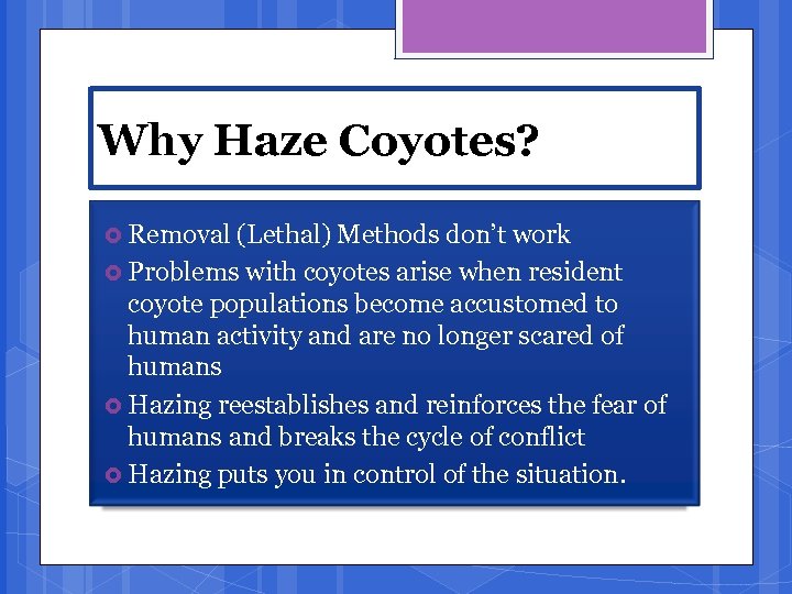 Why Haze Coyotes? Removal (Lethal) Methods don’t work Problems with coyotes arise when resident