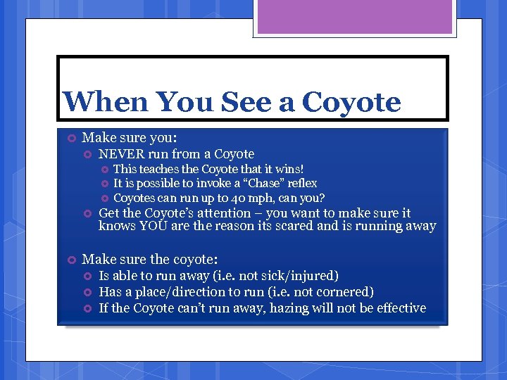 When You See a Coyote Make sure you: NEVER run from a Coyote This