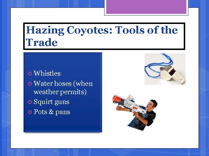 Hazing Coyotes: Tools of the Trade Whistles Water hoses (when weather permits) Squirt guns