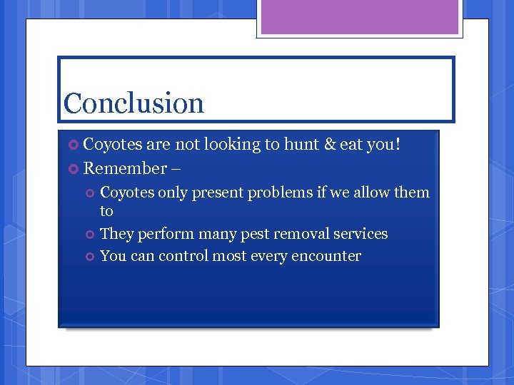 Conclusion Coyotes are not looking to hunt & eat you! Remember – Coyotes only