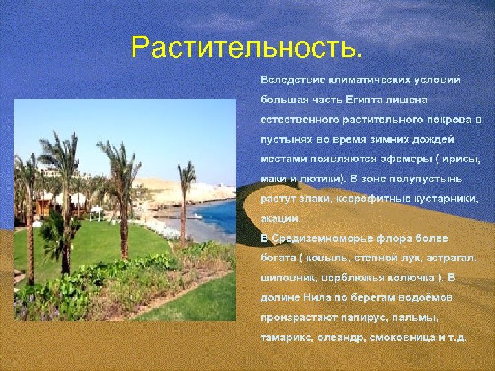 Растительность. Вследствие климатических условий большая часть Египта лишена естественного растительного покрова в пустынях во