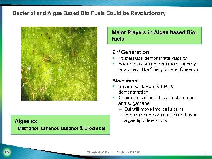 Bacterial and Algae Based Bio-Fuels Could be Revolutionary Major Players in Algae based Biofuels