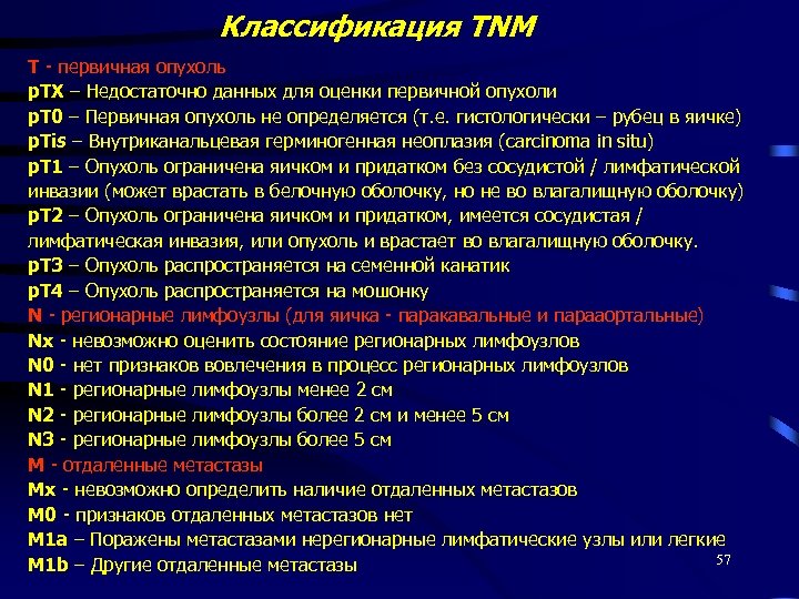 Классификация TNM T - первичная опухоль p. TX – Недостаточно данных для оценки первичной