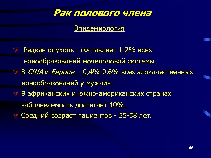 Рак полового члена Эпидемиология Редкая опухоль - составляет 1 -2% всех новообразований мочеполовой системы.