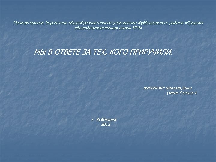 Муниципальное бюджетное общеобразовательное учреждение Куйбышевского района «Средняя общеобразовательная школа № 9» МЫ В ОТВЕТЕ