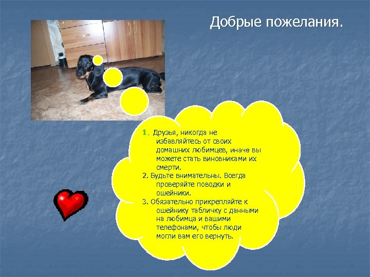Добрые пожелания. 1. Друзья, никогда не избавляйтесь от своих домашних любимцев, иначе вы можете