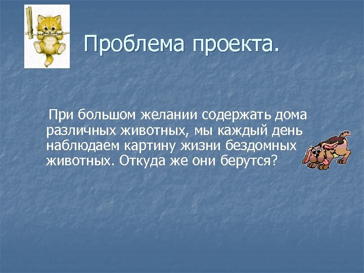 Проблема проекта. При большом желании содержать дома различных животных, мы каждый день наблюдаем картину