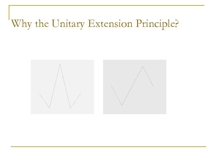 Why the Unitary Extension Principle? 