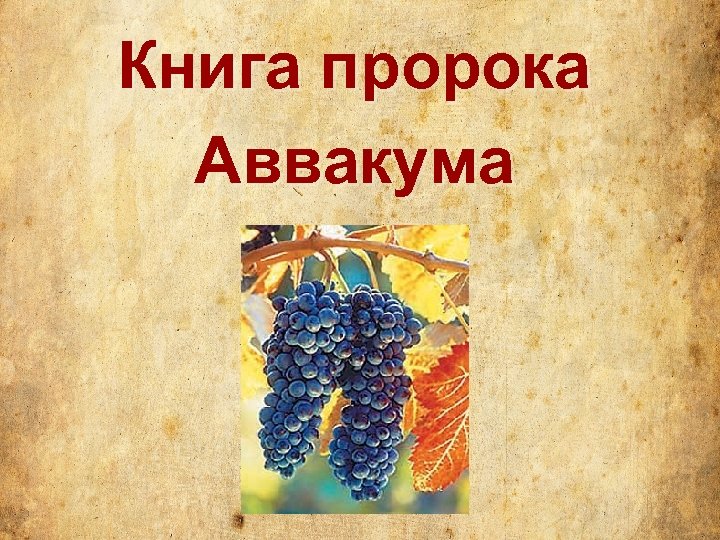 Книга пророка Аввакума 