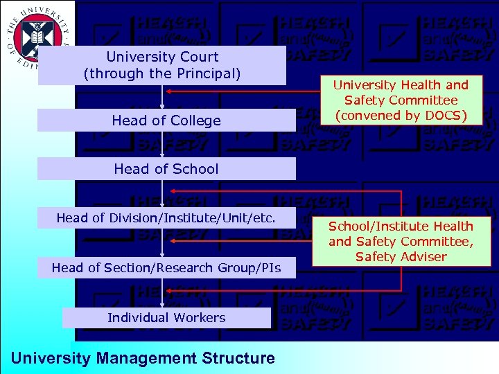 University Court (through the Principal) Head of College University Health and Safety Committee (convened