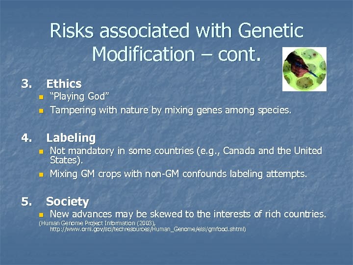 Risks associated with Genetic Modification – cont. 3. Ethics n n 4. “Playing God”