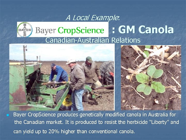 A Local Example: : GM Canola Canadian-Australian Relations n Bayer Crop. Science produces genetically