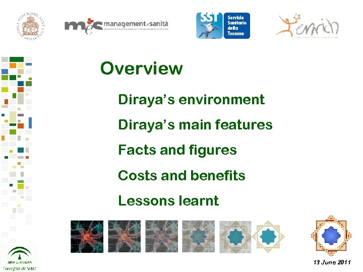 Overview Diraya’s environment Diraya’s main features Facts and figures Costs and benefits Lessons learnt