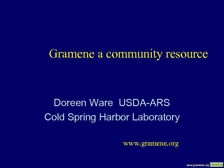 Gramene a community resource Doreen Ware USDA-ARS Cold Spring Harbor Laboratory www. gramene. org