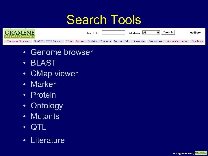 Search Tools • • Genome browser BLAST CMap viewer Marker Protein Ontology Mutants QTL