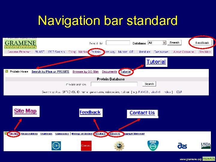 Navigation bar standard www. gramene. org 