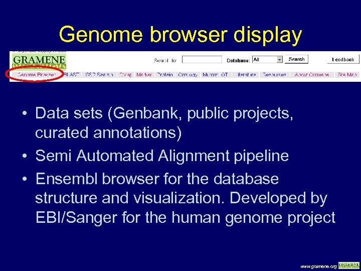 Genome browser display • Data sets (Genbank, public projects, curated annotations) • Semi Automated