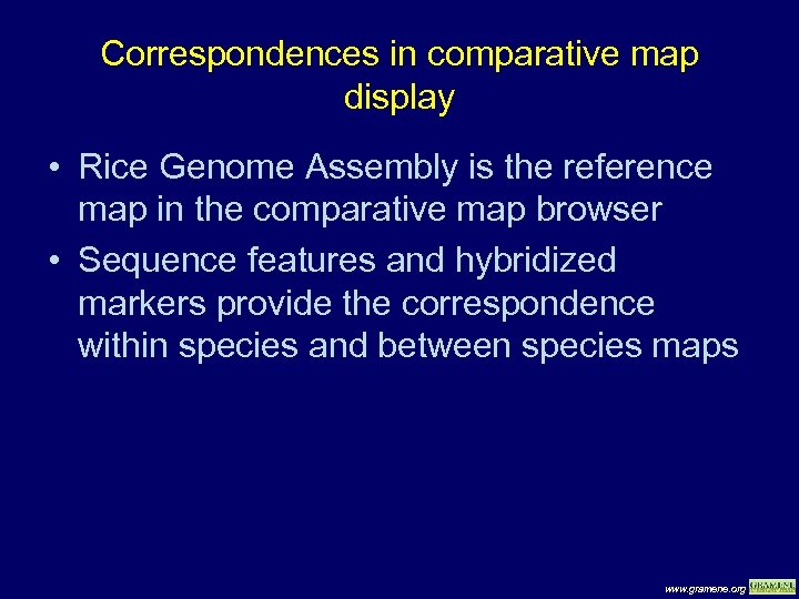 Correspondences in comparative map display • Rice Genome Assembly is the reference map in