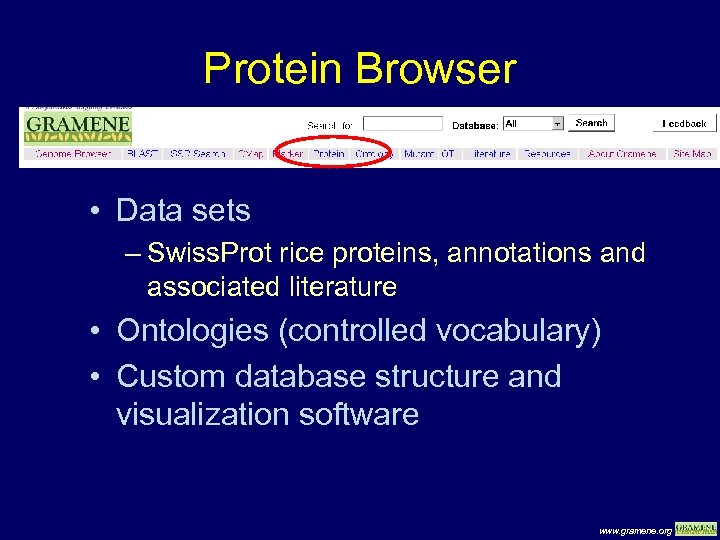 Protein Browser • Data sets – Swiss. Prot rice proteins, annotations and associated literature