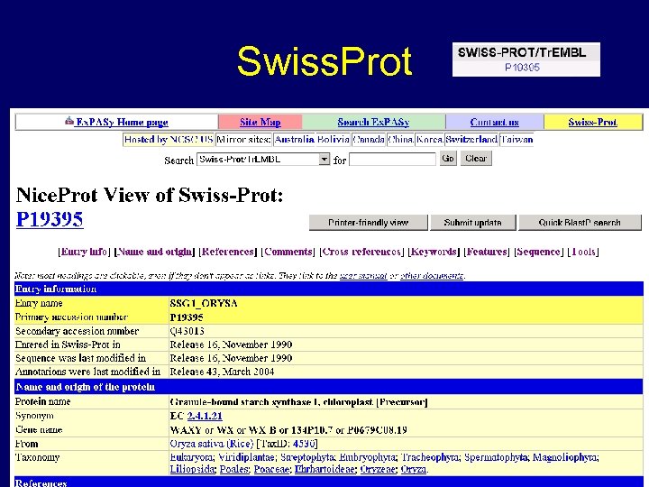 Swiss. Prot www. gramene. org 