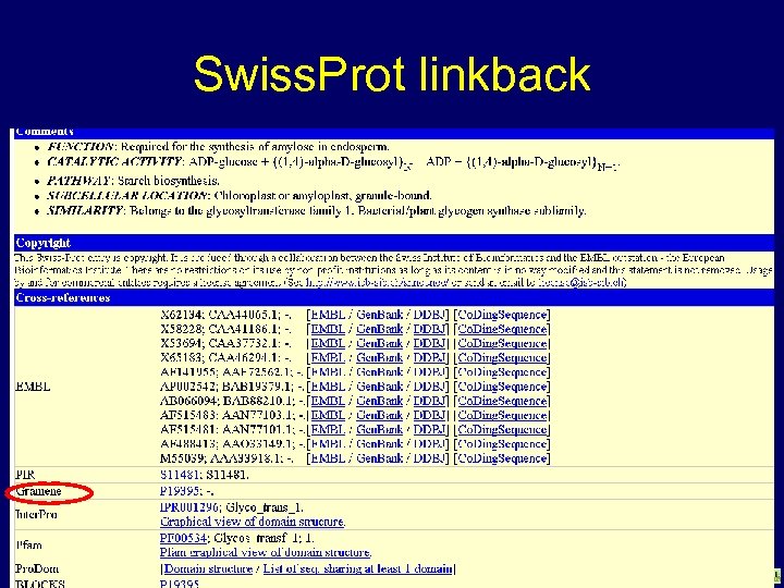 Swiss. Prot linkback www. gramene. org 