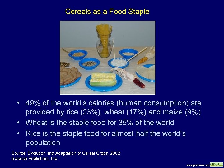 Cereals as a Food Staple • 49% of the world’s calories (human consumption) are