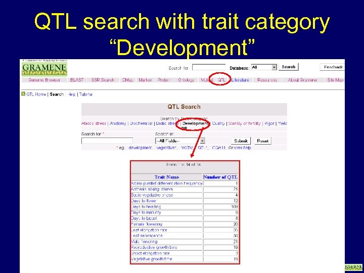 QTL search with trait category “Development” www. gramene. org 