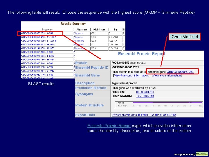 The following table will result. Choose the sequence with the highest score (GRMP =