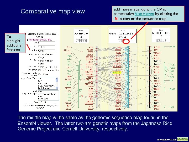 Comparative map view add more maps, go to the CMap comparative Map Viewer by