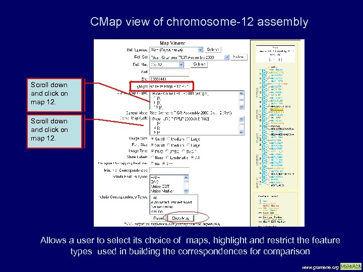 CMap view of chromosome-12 assembly Scroll down and click on map 12. Allows a