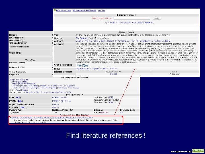 Find literature references ! www. gramene. org 