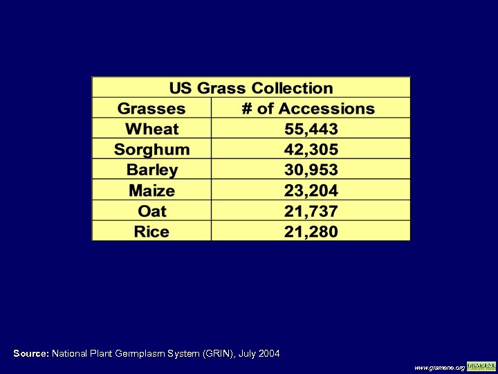 Source: National Plant Germplasm System (GRIN), July 2004 www. gramene. org 