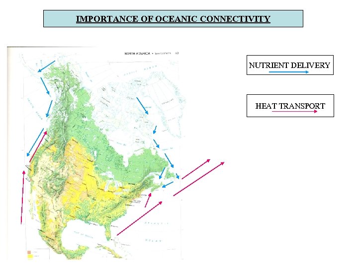 IMPORTANCE OF OCEANIC CONNECTIVITY NUTRIENT DELIVERY HEAT TRANSPORT 