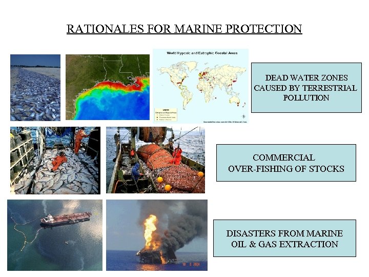 RATIONALES FOR MARINE PROTECTION DEAD WATER ZONES CAUSED BY TERRESTRIAL POLLUTION COMMERCIAL OVER-FISHING OF