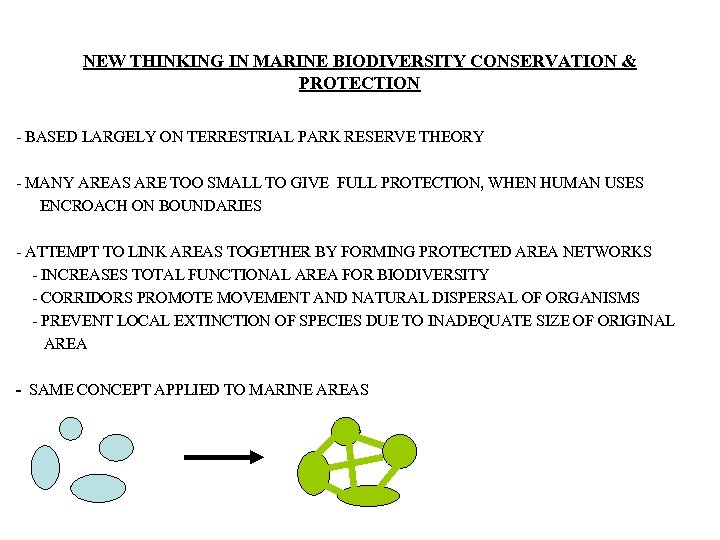 NEW THINKING IN MARINE BIODIVERSITY CONSERVATION & PROTECTION - BASED LARGELY ON TERRESTRIAL PARK