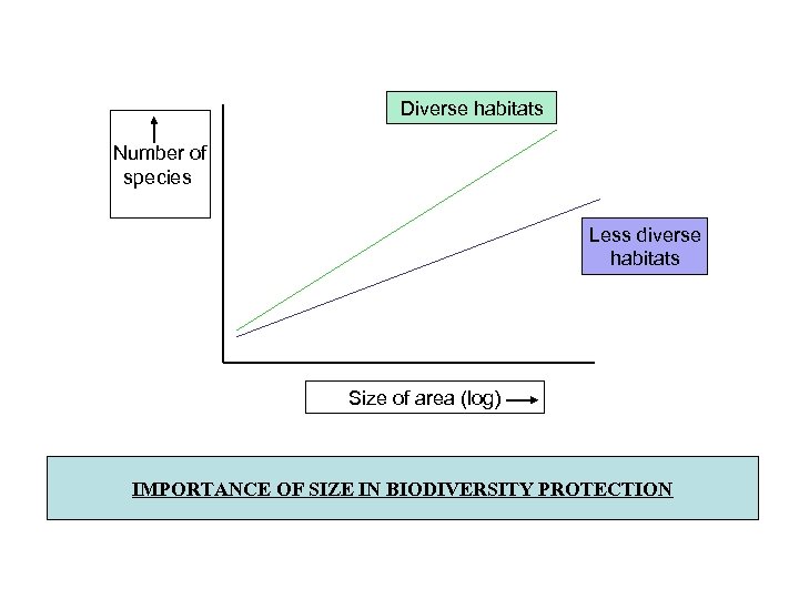 Diverse habitats Number of species Less diverse habitats Size of area (log) IMPORTANCE OF