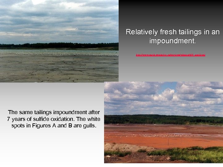 Relatively fresh tailings in an impoundment. http: //www. earth. uwaterloo. ca/services/whaton/s 06_amd. html The